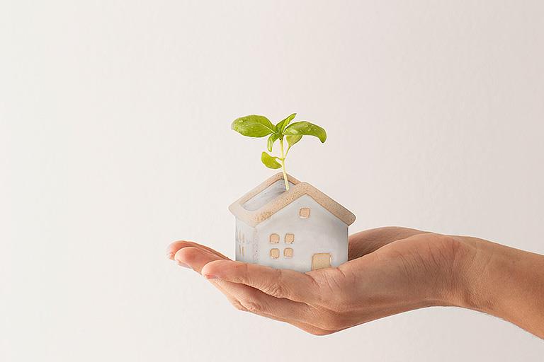 Mini House Planter