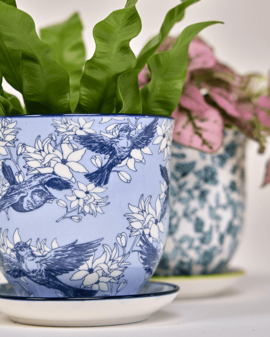 Liberte 4, 4.25" Pot & Saucer - Blue Swallows