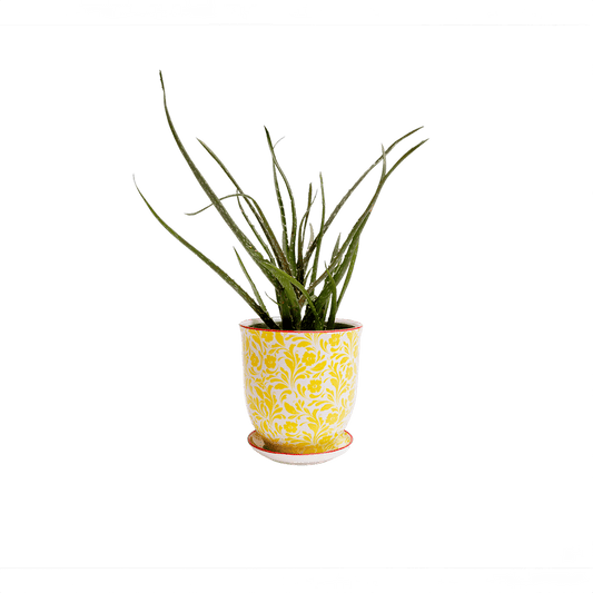 Liberte 4, 4.25" Pot & Saucer - Yellow Flowers