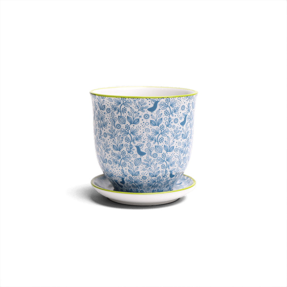 Liberte 3, 4.25" Pot & Saucer - Blue Birds