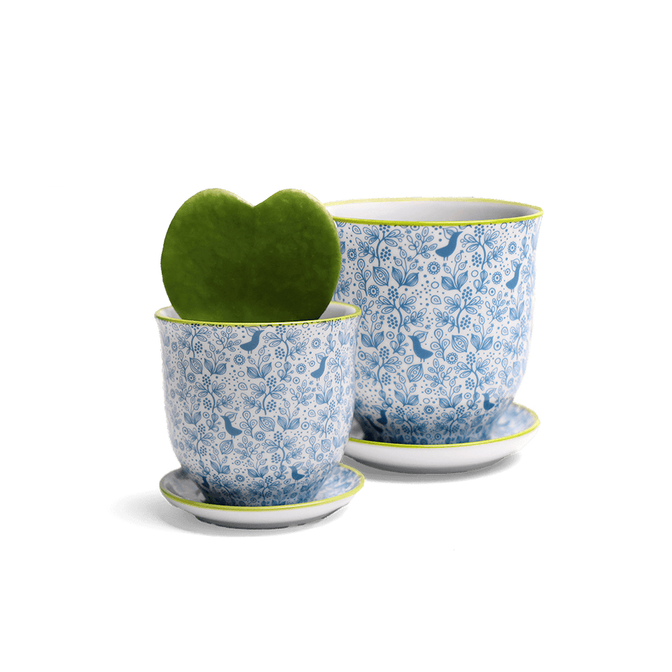 Liberte 3, 4.25" Pot & Saucer - Blue Birds