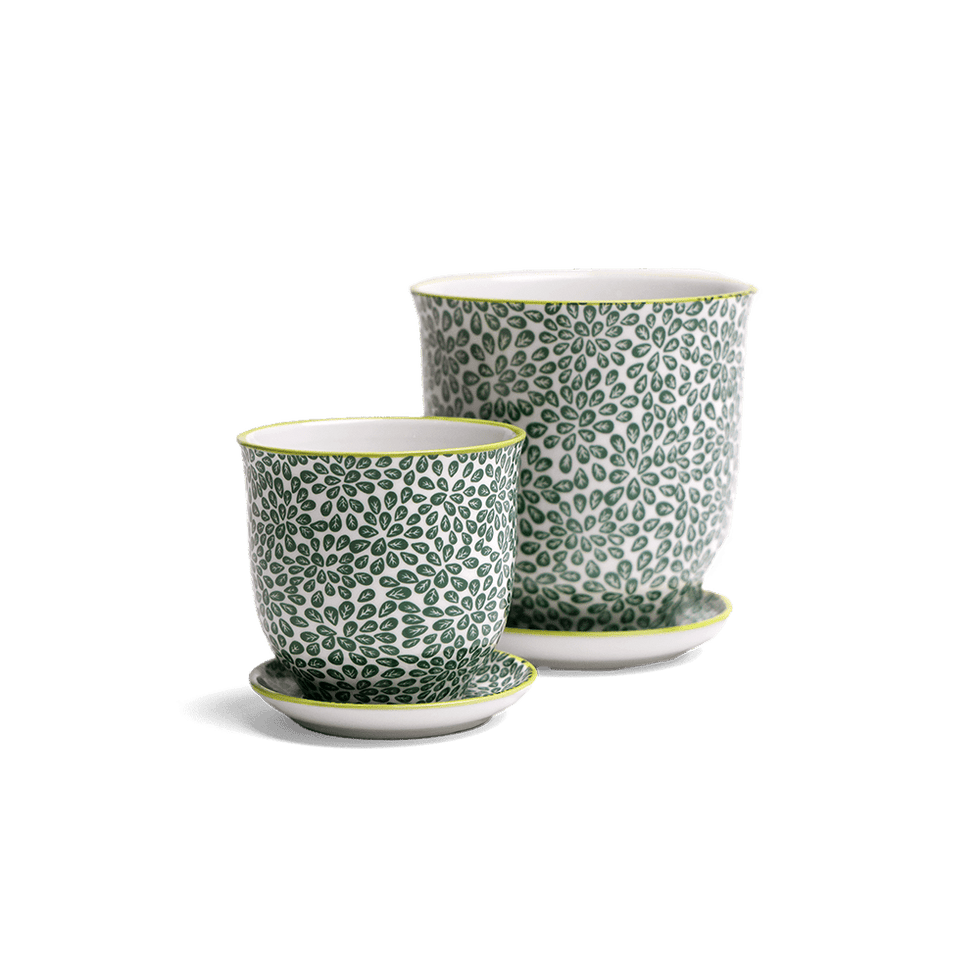 Liberte 3, 4.25" Pot & Saucer - Green Leaves