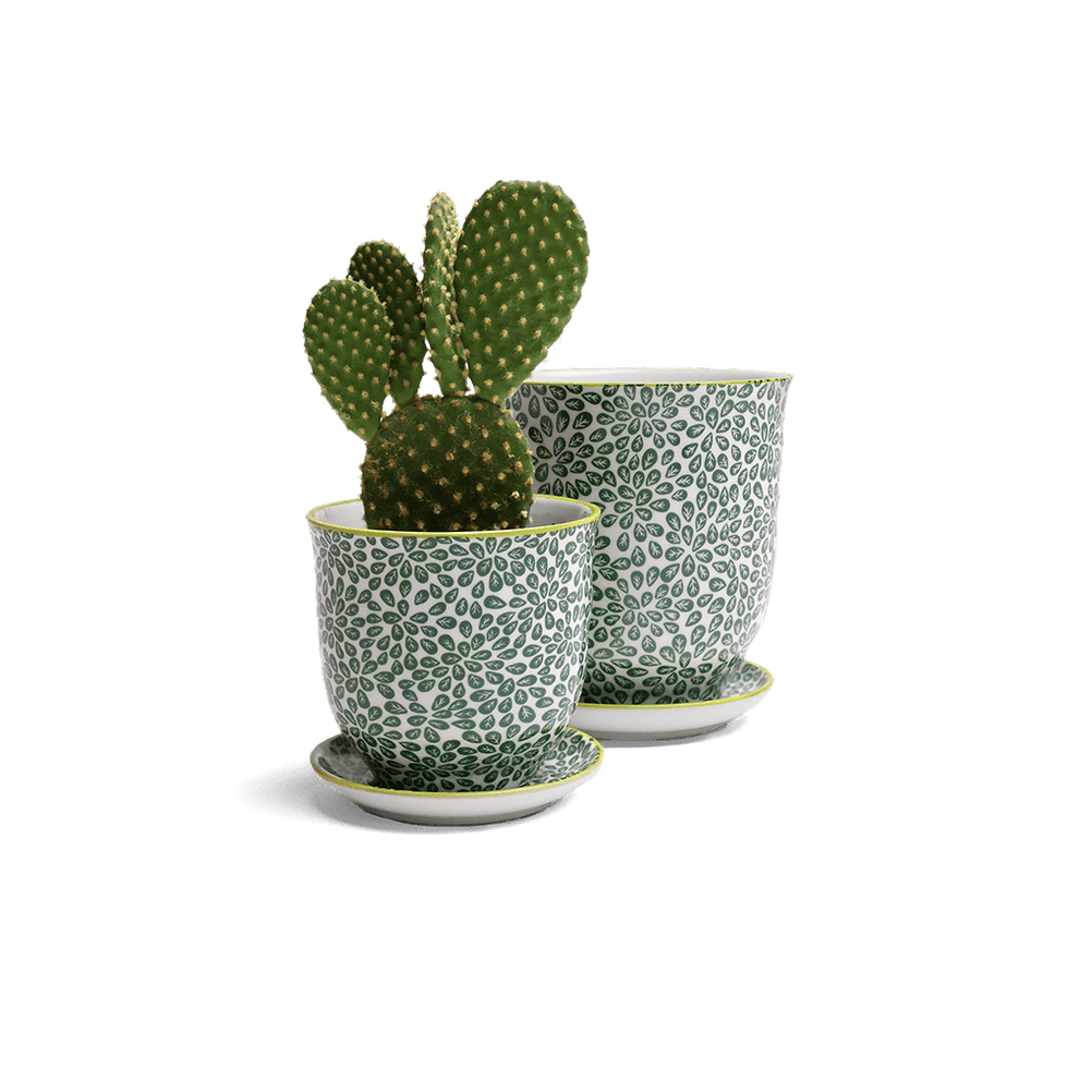 Liberte 3, 4.25" Pot & Saucer - Green Leaves