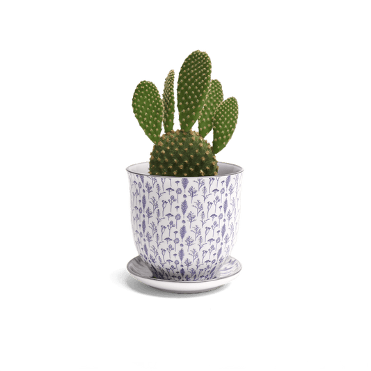 Liberte 4, 4.25" Pot & Saucer - Blue Feather