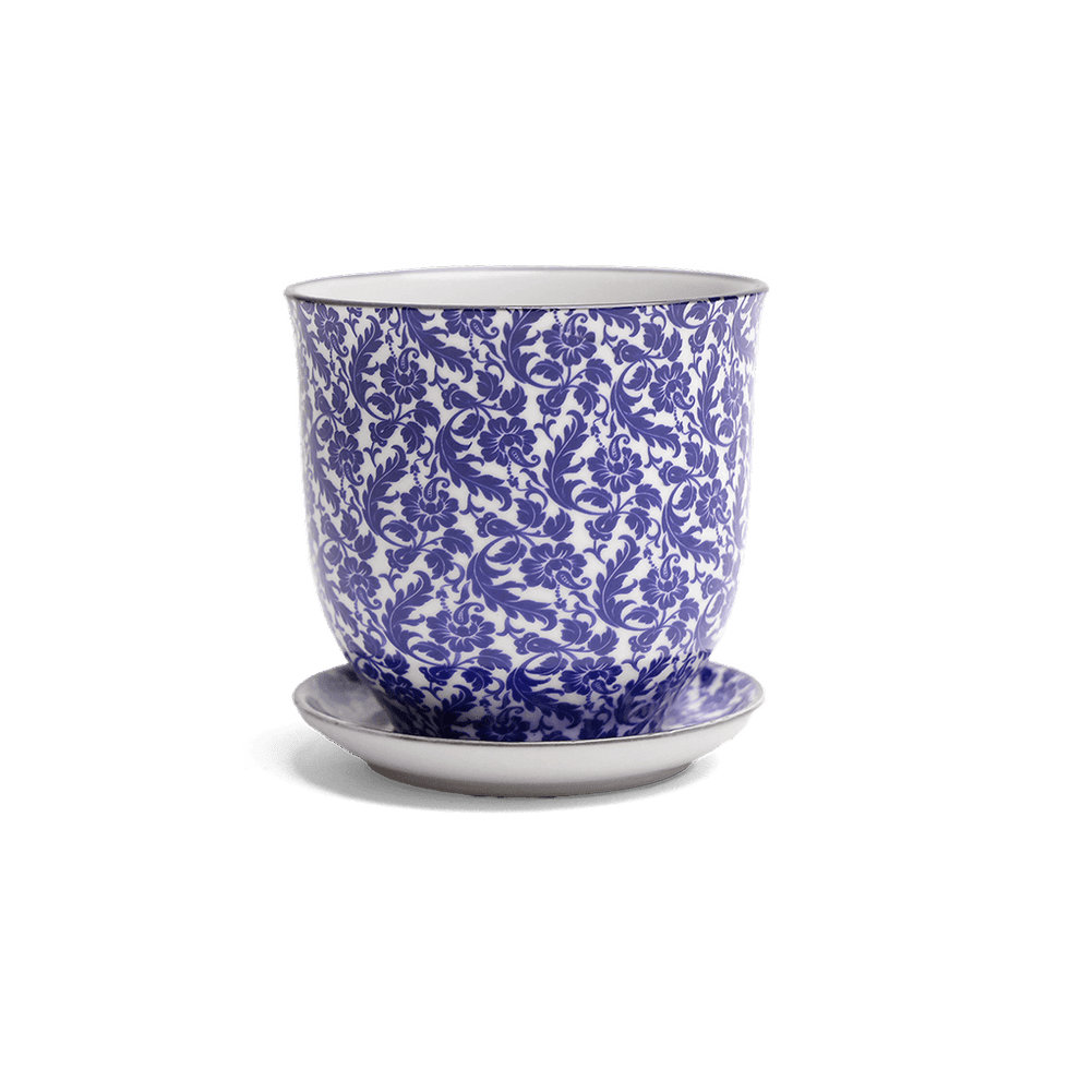 Liberte 4, 4.25" Pot & Saucer - Blue Leaves