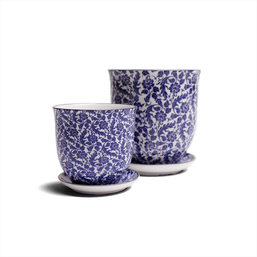 Liberte 4, 4.25" Pot & Saucer - Blue Leaves