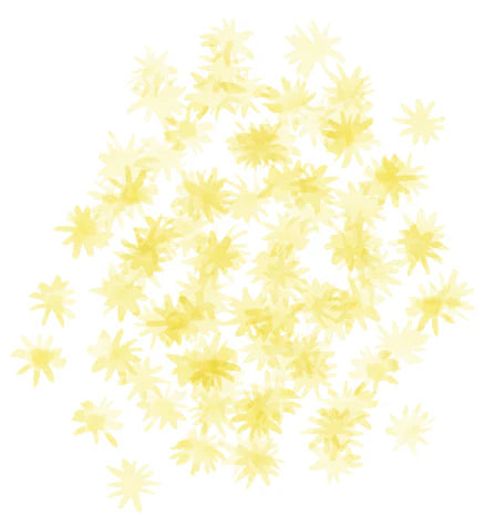 Shupatto Compact Reusable Bag Medium Hana