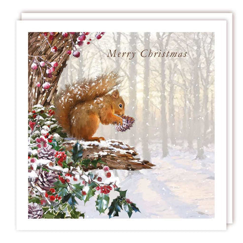 Squirrel in a Winter Forest Christmas Card