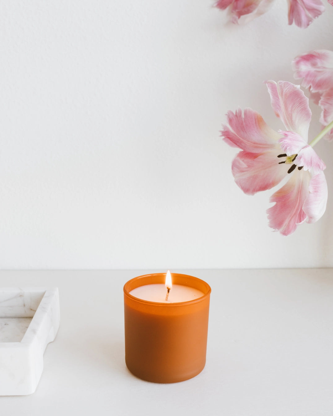 Dignity Series Soy Candle Cedar + Tobacco