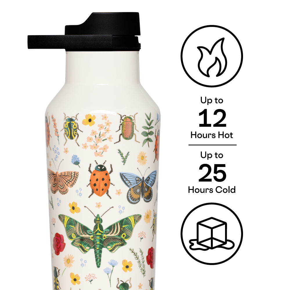 Curio Cream Sport Canteen - 20oz