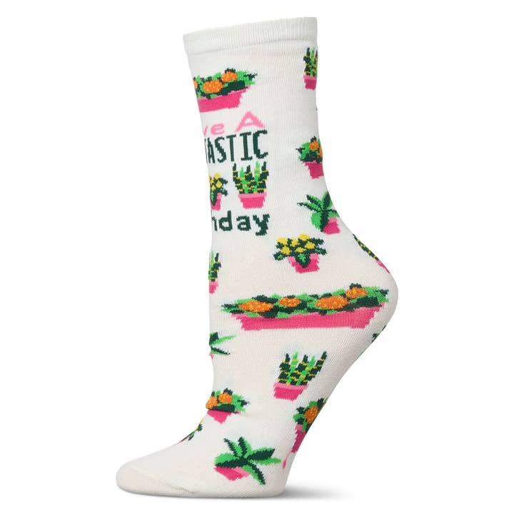 Greeting Card Socks Have a Plantastic Birthday