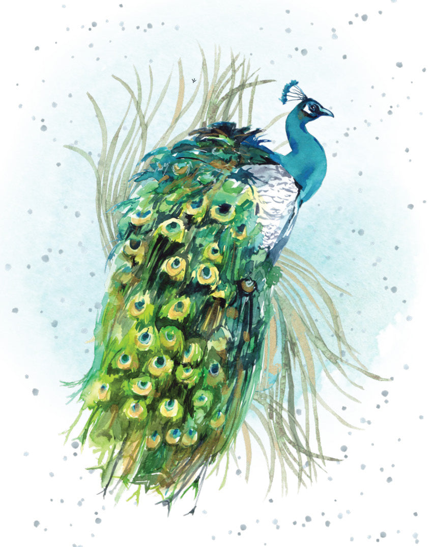 Gift Enclosure Card Proud As A Peacock