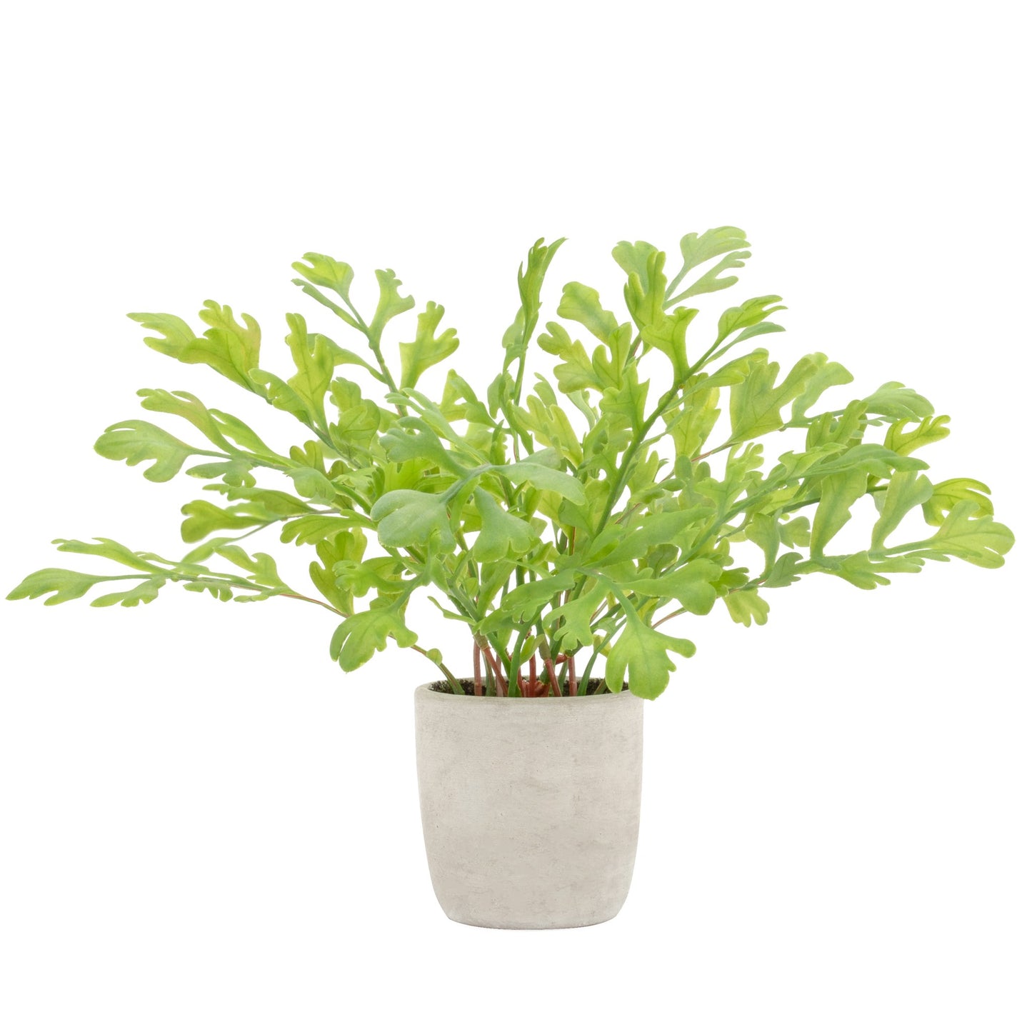 Solaro Round Potted Faux Plant Rabbit Ear