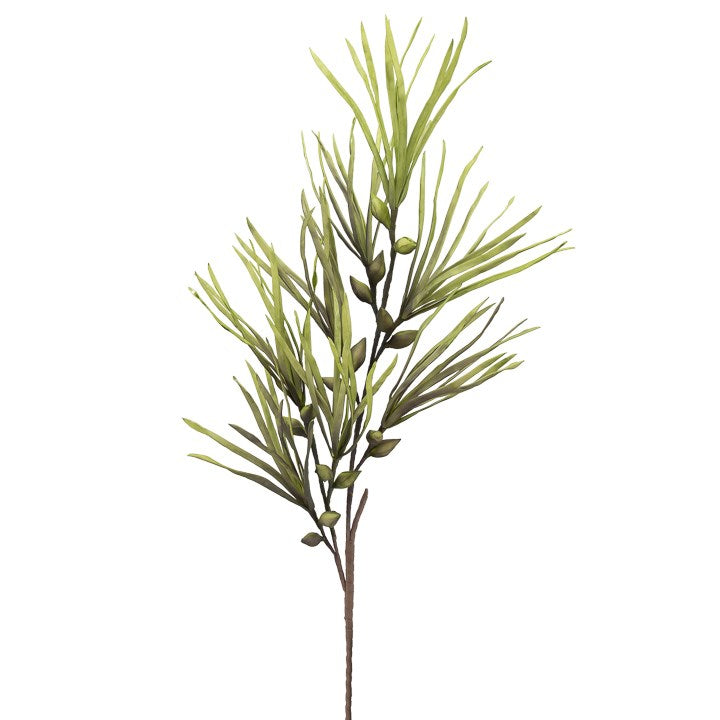 Desert Papyrus Pod 48" Stem