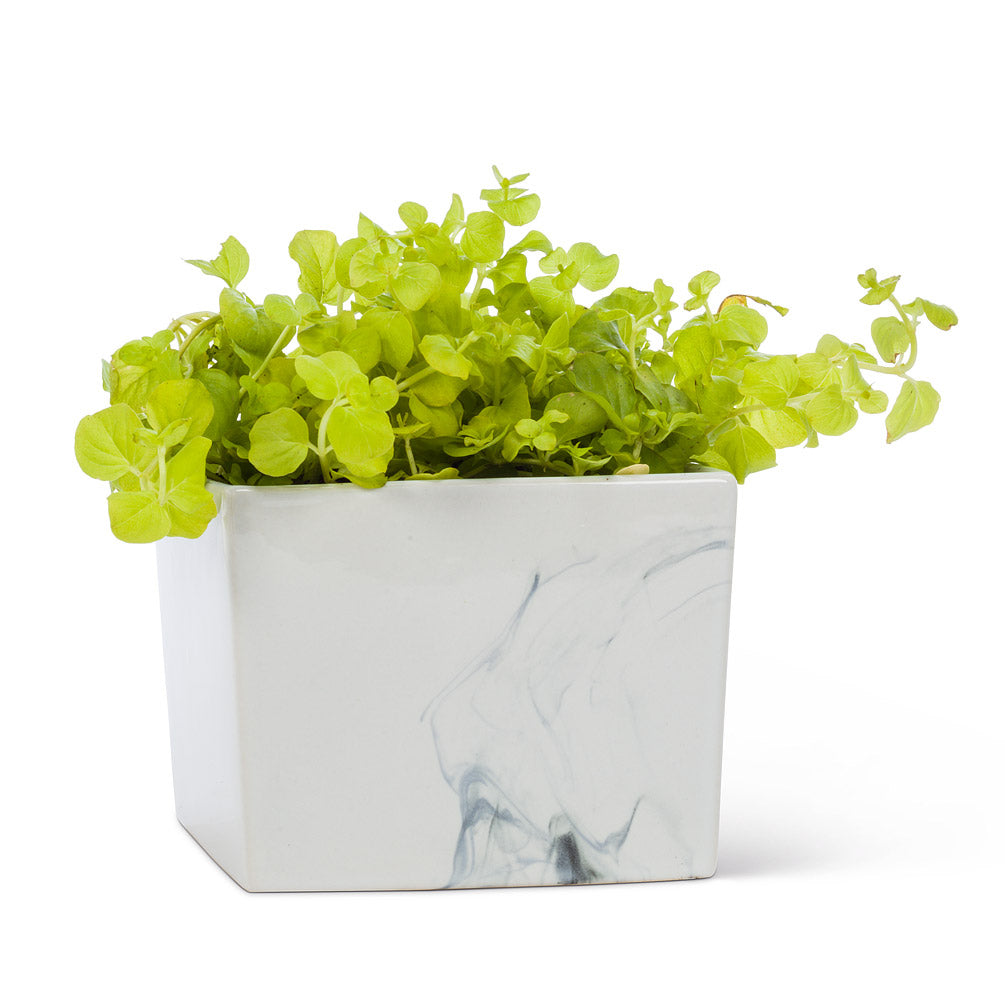 Marble Pattern Planter