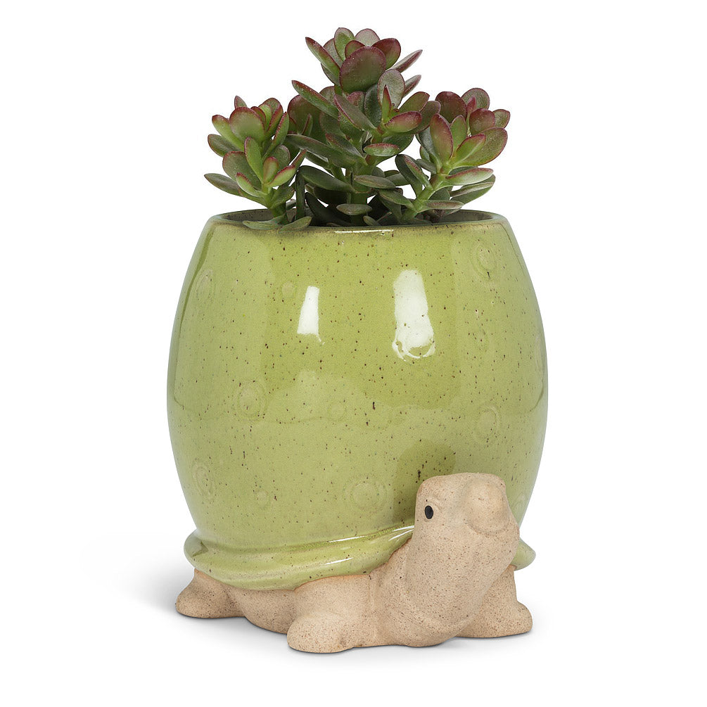 Tall Green Turtle Planter 5"H