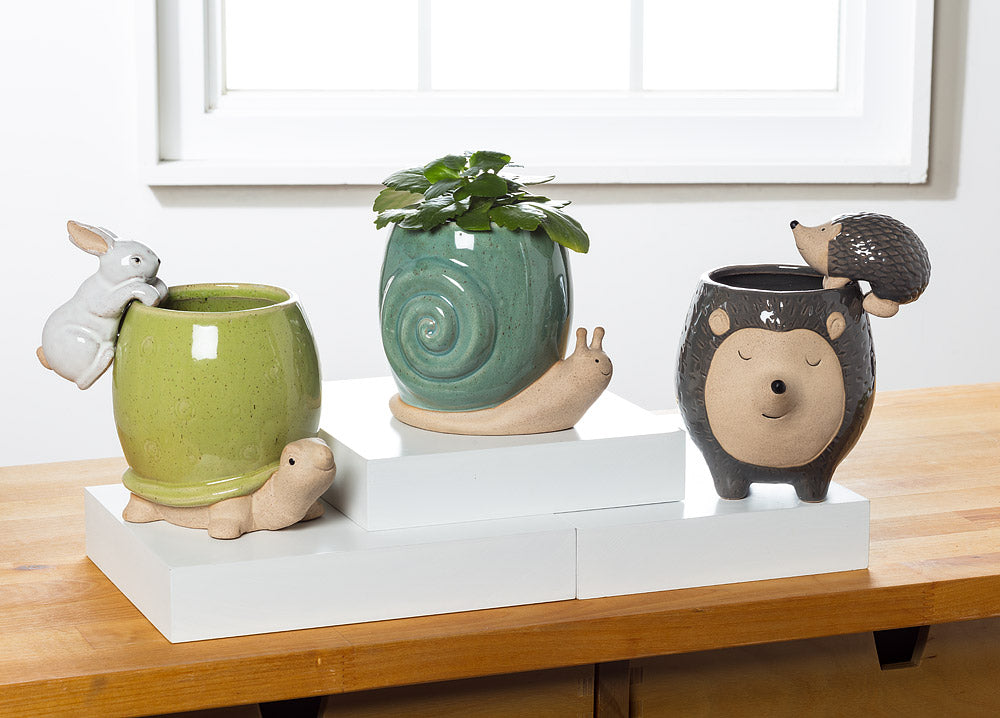 Tall Green Turtle Planter 5"H