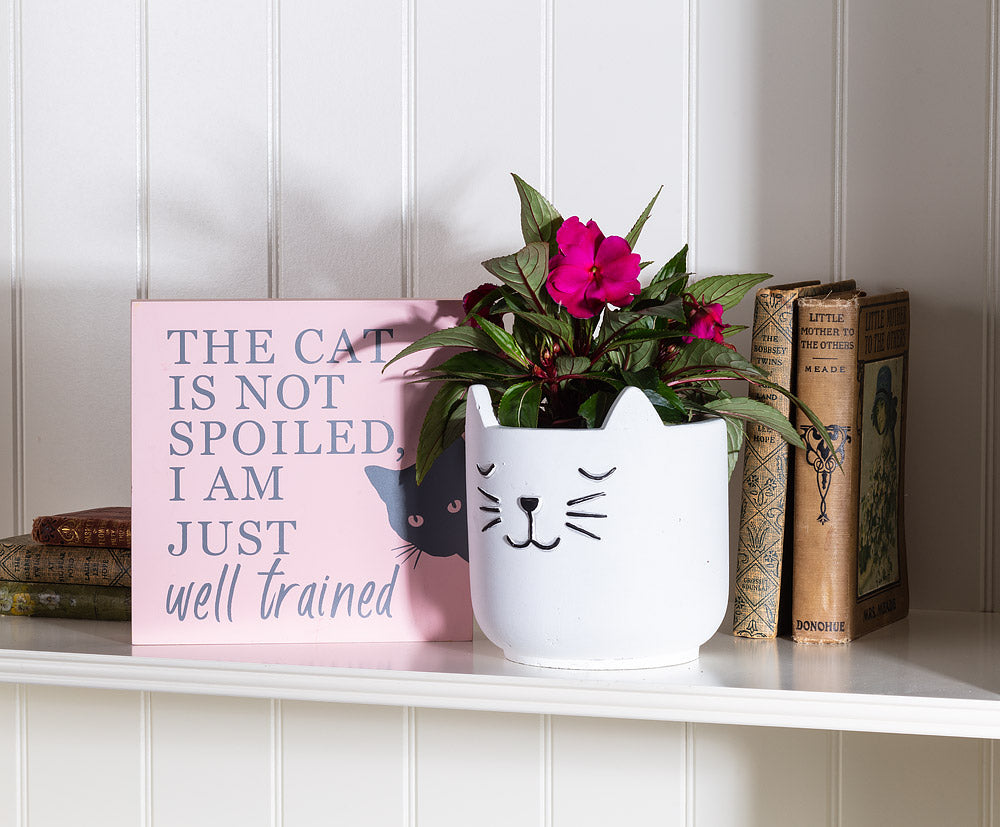 Slepping Cat Planter Large