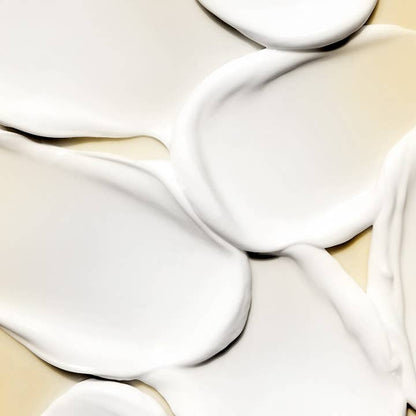 Shea Butter Lotion Champagne Hour 1.5oz