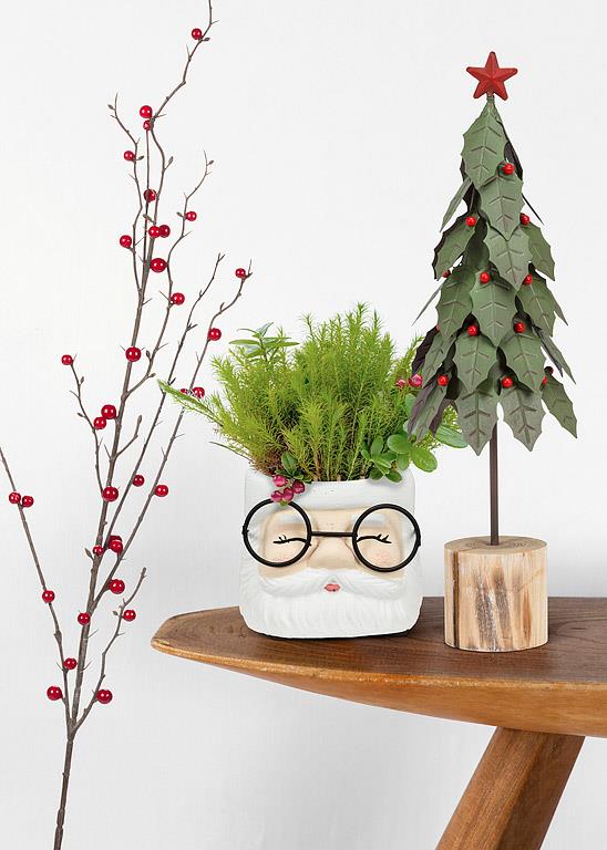 Santa Face Planter with Glasses | Large