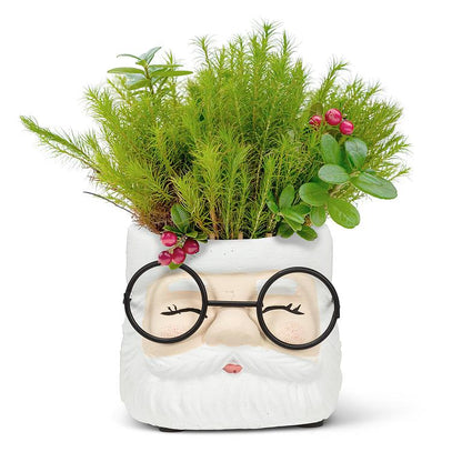 Santa Face Planter with Glasses | Small
