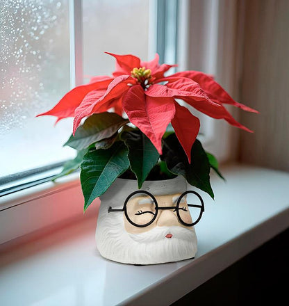 Santa Face Planter with Glasses | Small