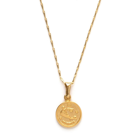 Tiny Zodiac Medallion Aquarius Necklace