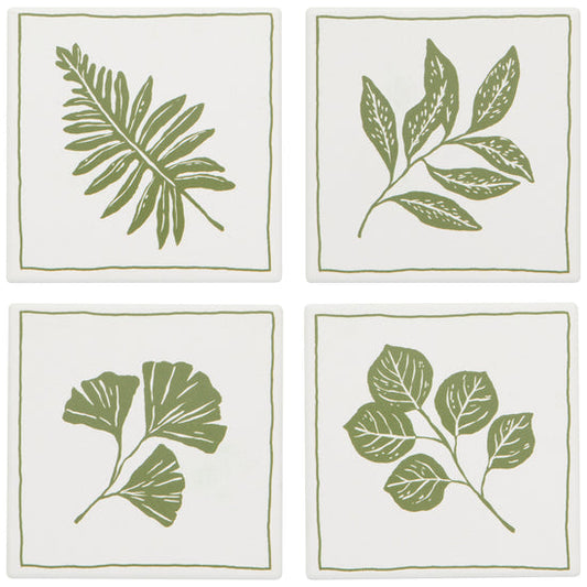 Fern & Frond Soak Up Coasters Set of 4