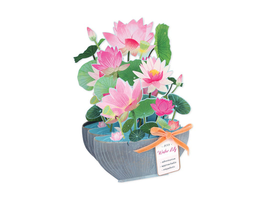Pop-up Birthday Flower Month Card July Water Lily