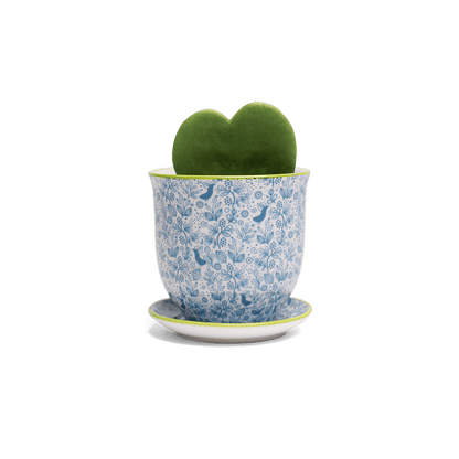 Liberte 3, 4.25" Pot & Saucer - Blue Birds