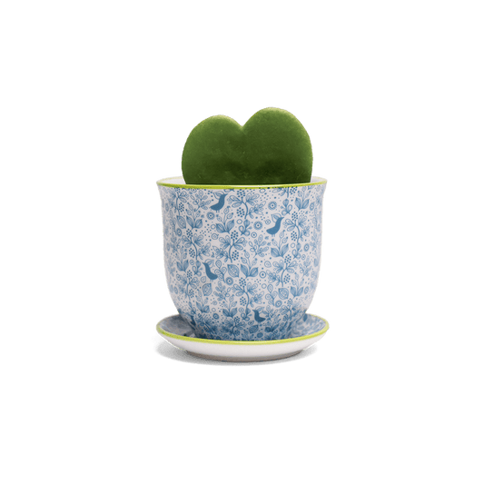 Liberte 3, 4.25" Pot & Saucer - Blue Birds