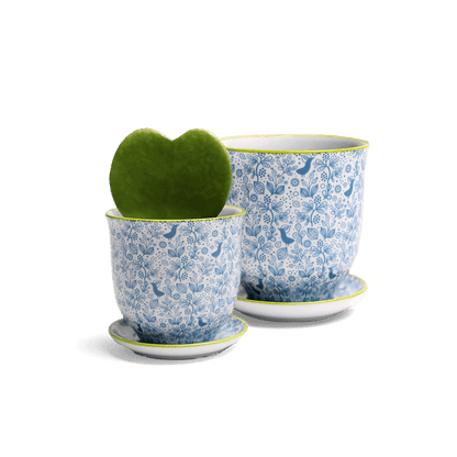 Liberte 3, 4.25" Pot & Saucer - Blue Birds