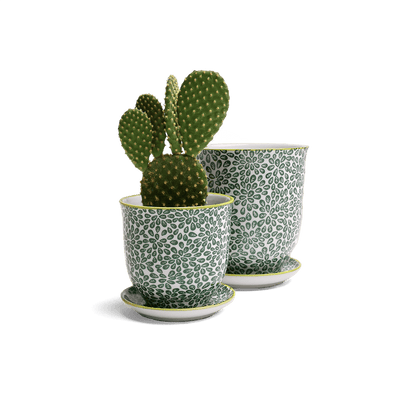 Liberte 3, 4.25" Pot & Saucer - Green Leaves