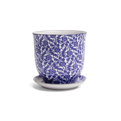 Liberte 4, 4.25" Pot & Saucer - Blue Leaves