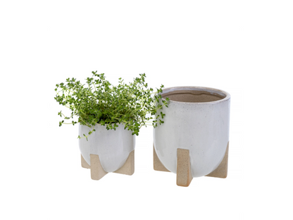 Mod Pot Small