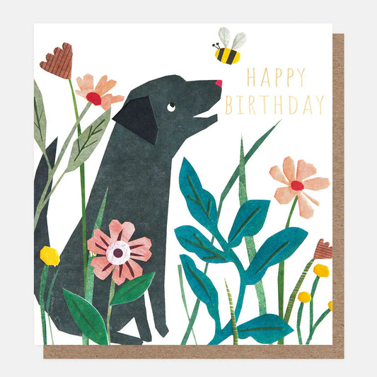 Happy Birthday Dog Card