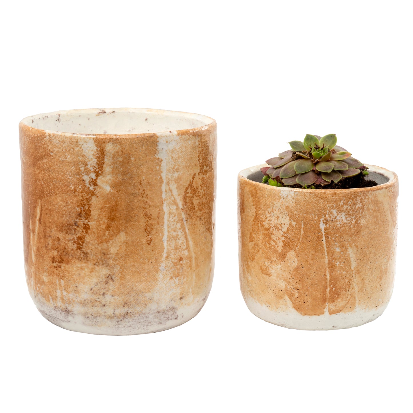 Palette Pots Honey