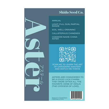 Aster Flower Seeds Packet
