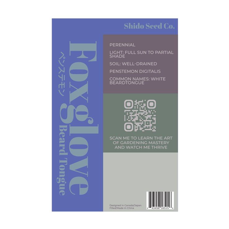 Foxglove Beard Tongue Flower Seeds Packet