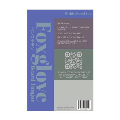 Foxglove Beard Tongue Flower Seeds Packet
