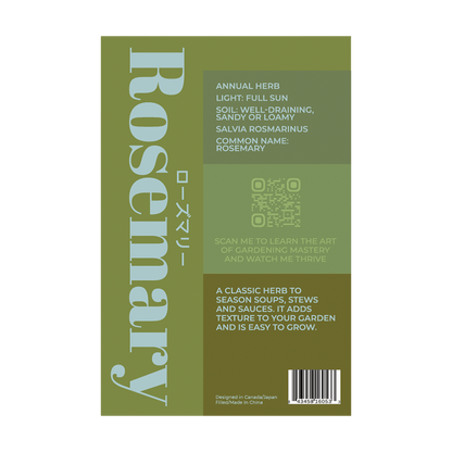 Rosemary Herb Seeds Packet