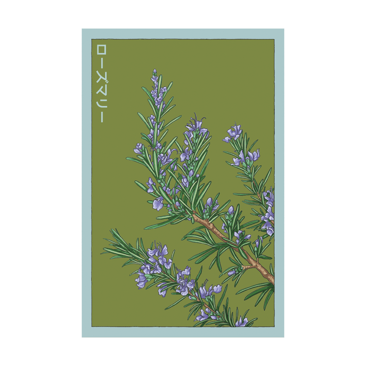 Rosemary Herb Seeds Packet