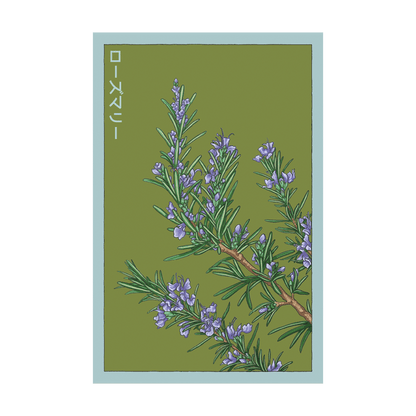 Rosemary Herb Seeds Packet