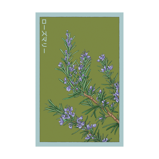 Rosemary Herb Seeds Packet