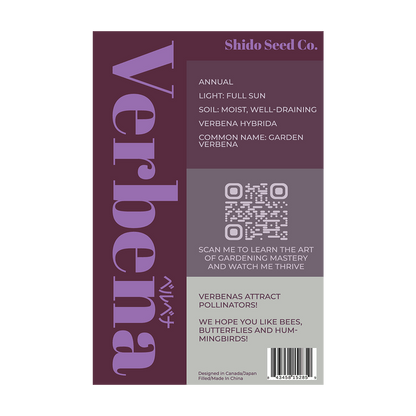 Verbena Flower Seeds Packet