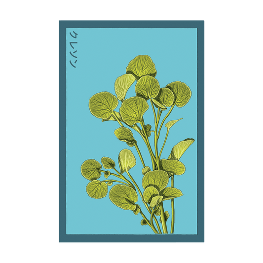 Watercress Vegetable Seeds Packet