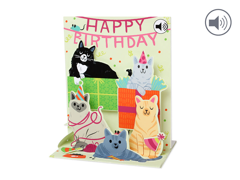 Sight 'n Sound Feline Birthday Card