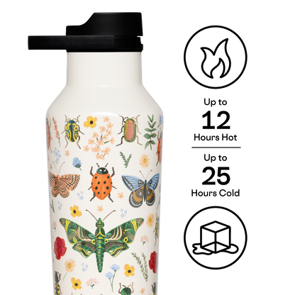Curio Cream Sport Canteen - 20oz
