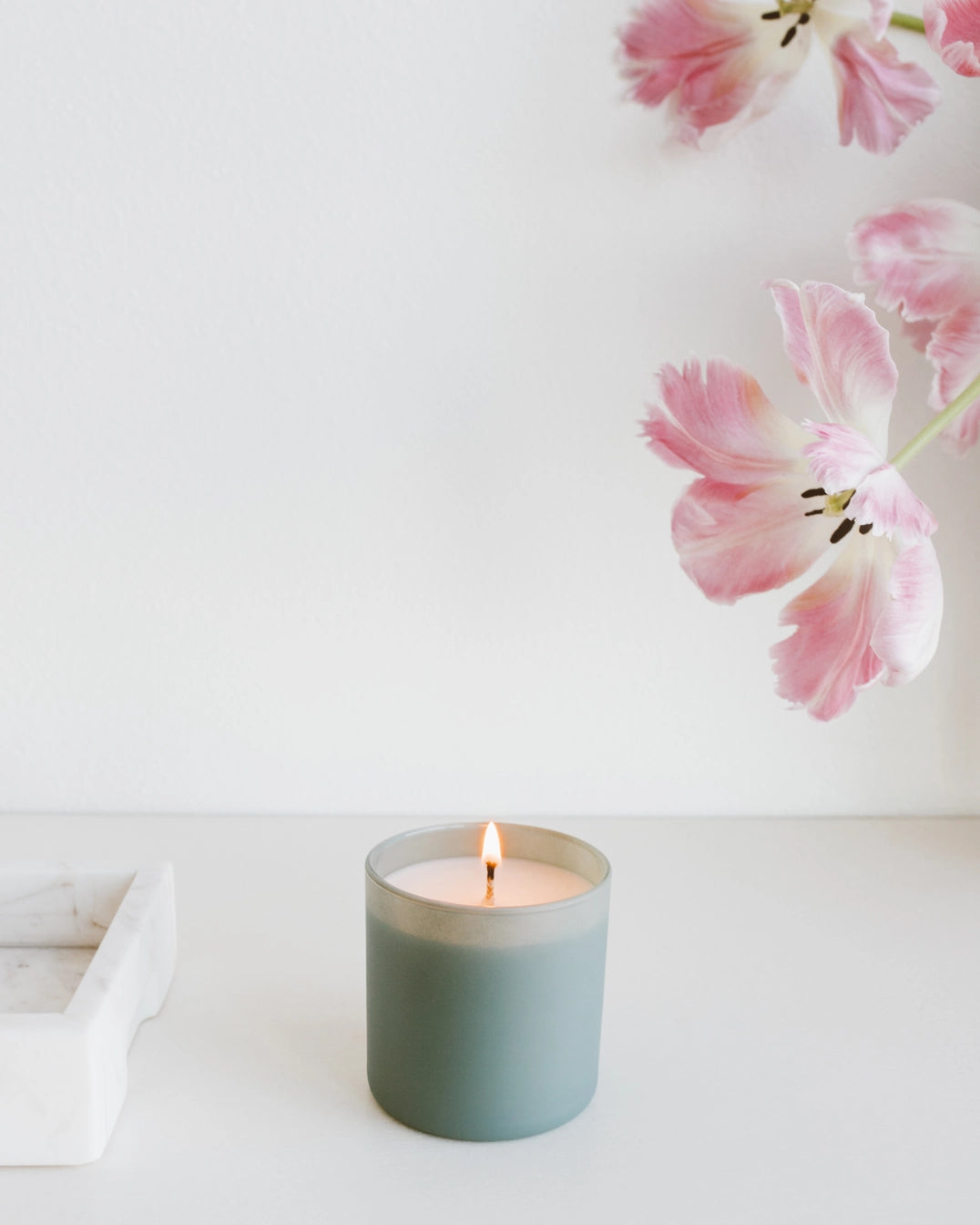 Dignity Series Soy Candle Evergreen + Eucalyptus