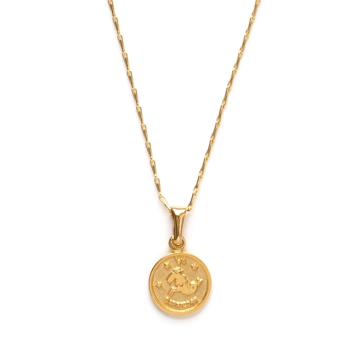 Tiny Zodiac Medallion Capricorn Necklace